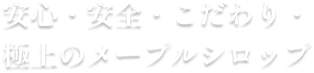 木造からRC建築まで、安全かつ迅速に解体。解体から整地まで全てお任せください。